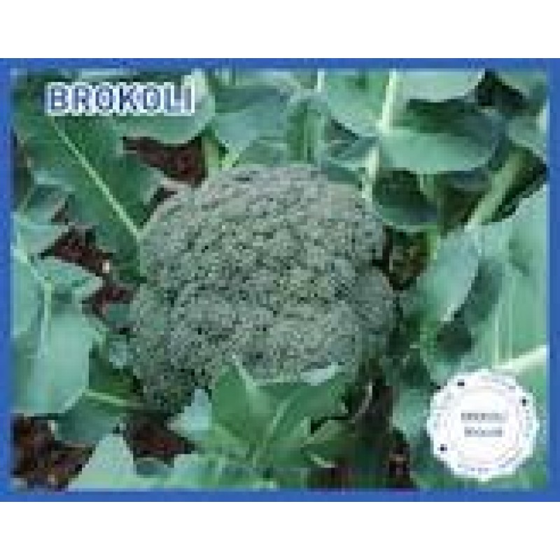 Biogen Tohum  Brokoli Tohumu 100 Gr