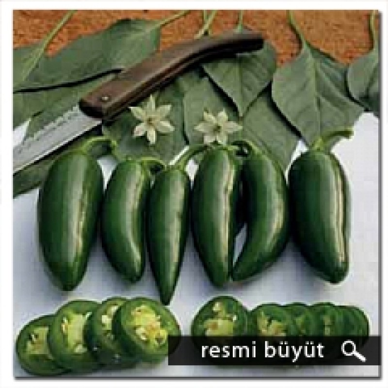 Argeto Aktif F1 Jalepon Biber Tohumu 1000 Adet