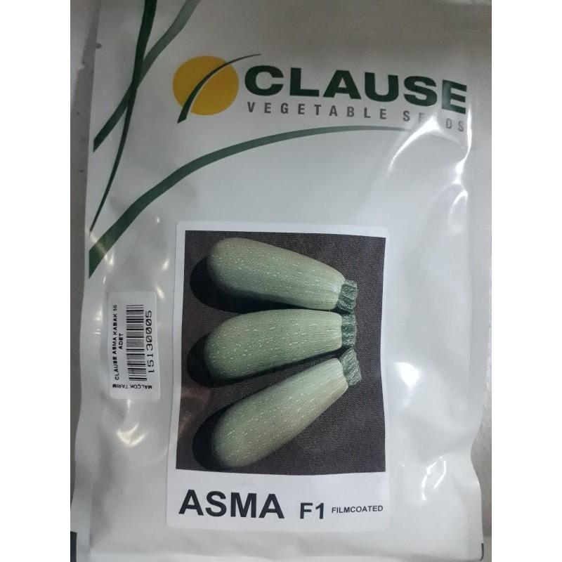 Clause Asma F1 Hibrit Kabak Tohumu 500 Adet