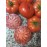 A-Z Tohum Lapçin F1 Yarı Sırık Kırmızı Dilimli Köy Domatesi 1000 Adet 