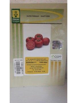 YÜKSEL TOHUM BURHAN F1 SIRIK DOMATES 1000 ADET 