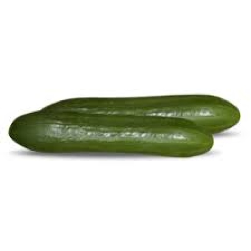 Hazera Tohum Mascot F1 Açık Tarla Hıyarı  100 Gr