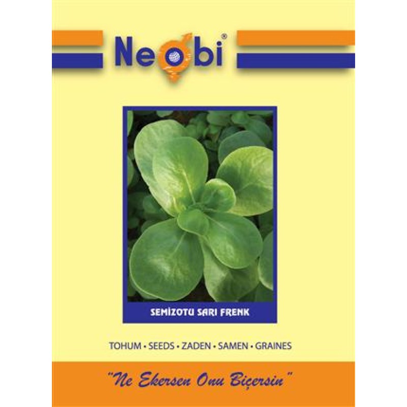 NEOBİ SARI FRENK SEMİZ TOHUMU