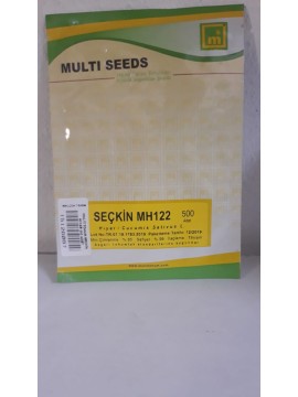 Multi Tohum Seçkin F1 Sera HıyarıTohumu 500 Adet 