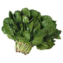 Hibrit F1 Ispanak Tohumları (3)