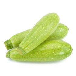 Hibrit F1 Kabak Tohumları (14)