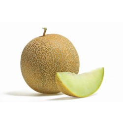 Hibrit F1 Kavun Tohumları (16)