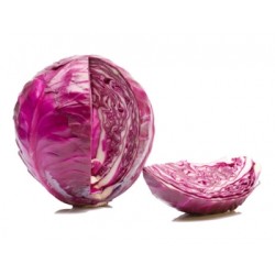 Hibrit F1 Kırmızı Lahana Tohumları (2)