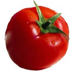 Hibrit F1 Sofralık Domates Tohumları (15)