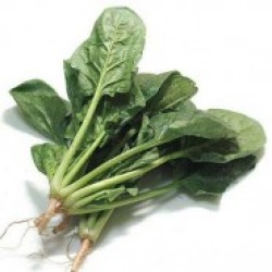 Ispanak Tohumlar (3)