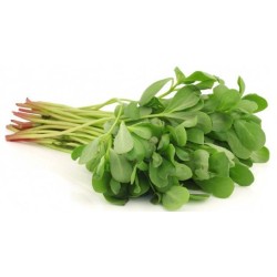 Semizotu Tohumlar (2)