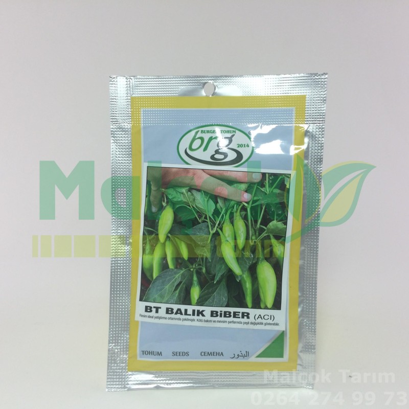 Bursa Bt Acı Balık Biber Tohumu 25 Gr