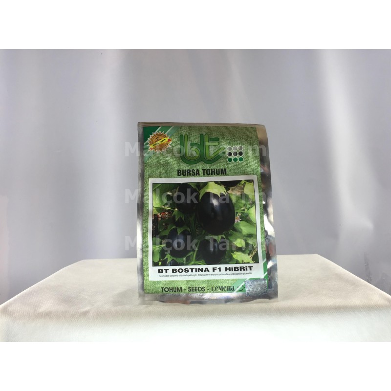 Bursa Tohum Bt Bostina F1 Hibrit Yuvarlak Patlıcan Tohumu 1000 Adet
