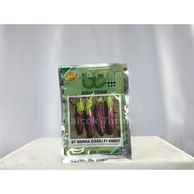Bursa Tohum BT Manisa Çizgili F1 Hibrit Patlıcan Tohumu 1000 Adet