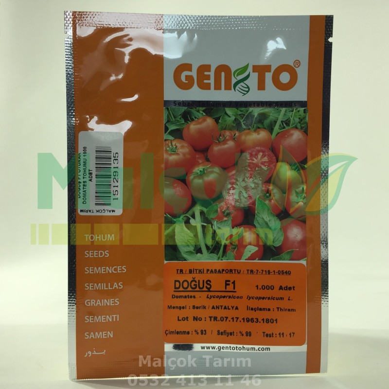 Genetica Doğuş F1 Hibrit Oturak Sofralık Domates Tohumu 1000 Adet