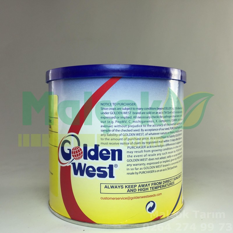 Golden West Greengo F1 Hibrit Tarla Hıyar Tohumu 2500 Adet