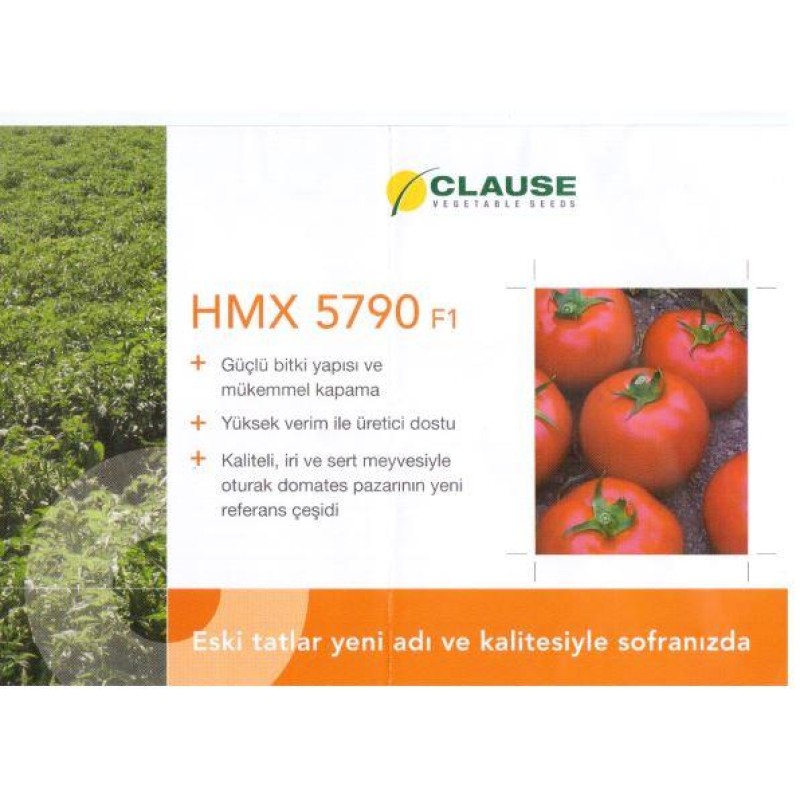Hmx 5790 Salçalık Sanayi Domates Fidesi