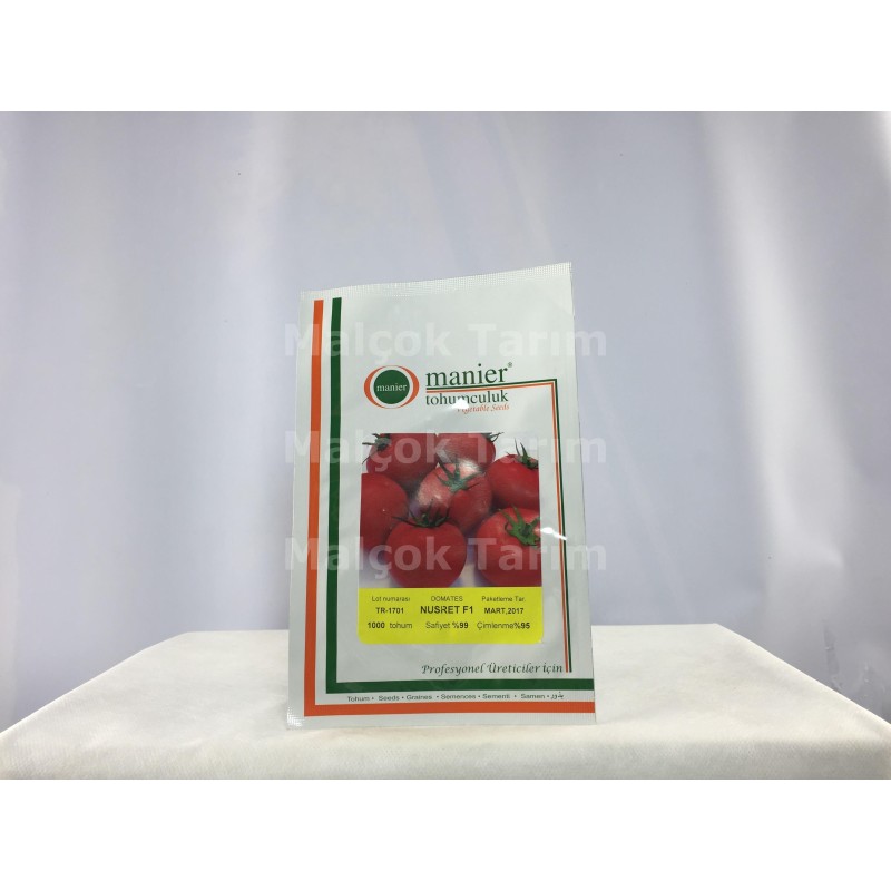 Manier Hibrit Nusret F1 Beef Sırık Domates Tohumu 1000 Adet