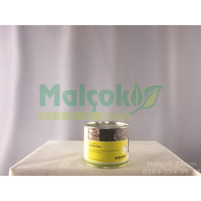 Enza Zaden Maritima Marul Tohumu 10.000 Adet