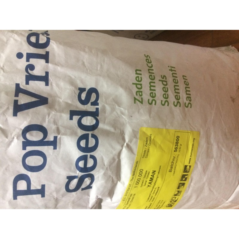 Pop Verie Yaman F1 Hibrit Kışlık Ispanak Tohumu 100 Gr