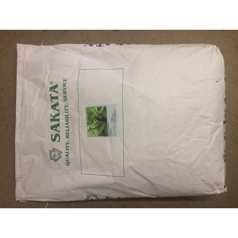 Sakata Apollo F1 Hibrit Ispanak Tohumu 100 Gr