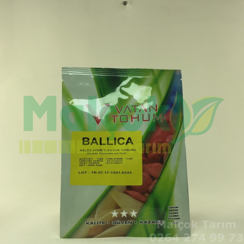 Vatan Ballıca F1 Hibrit Kavun Tohumu 1000 Adet
