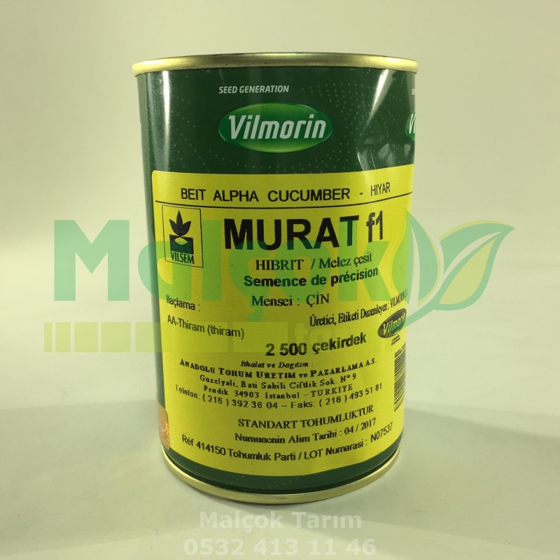 Vilmorin Murat F1 Hibrit Salatalık Tohumu 2500 Adet