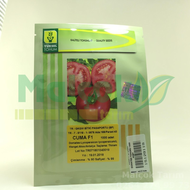 Yüksel Tohumculuk Cuma F1 Hibrit Sofralık Oturak Domates Tohumu 1000 Adet