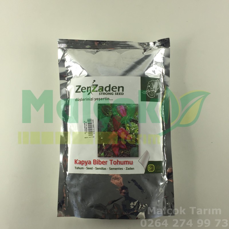 Zerzaden Orjinal Fil Kulağı Kapya Salçalık Biber Tohumu 500 Gr