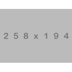 Çiçek Coşturan (5)